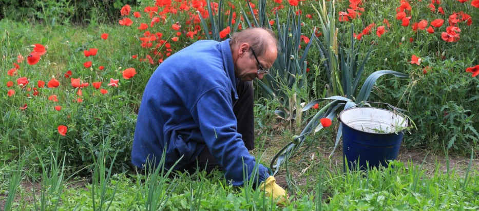 Meditation while working in the garden