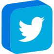 Twitter Share Button