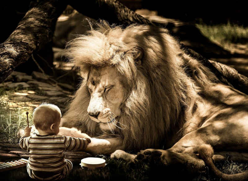 Baby with percussion instruments and lion.